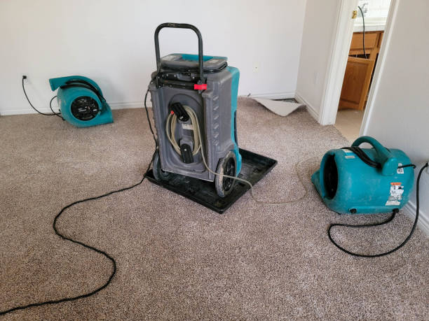 Professional Water damage restoration in Sunset, UT