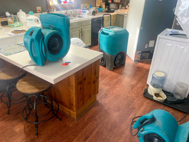 Best Water damage restoration near me  in Sunset, UT