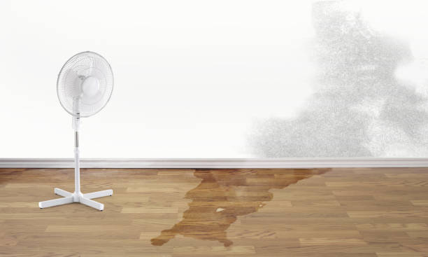 Reliable Sunset, UT Water damage restoration Solutions
