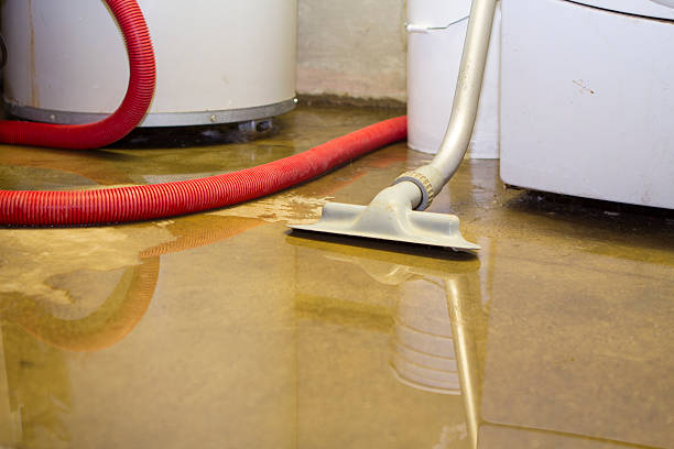 Best Ceiling water damage repair  in Sunset, UT