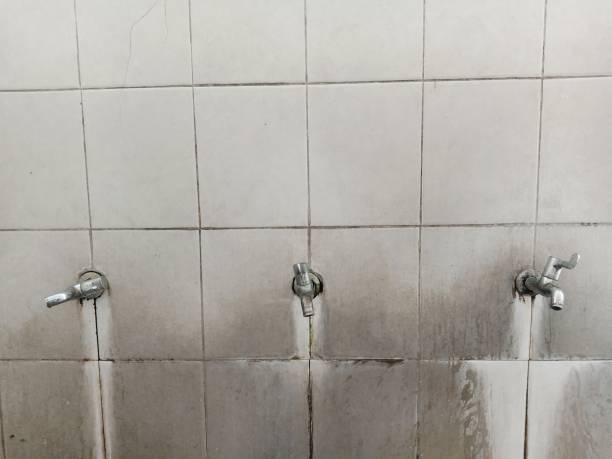 Best Flooded house restoration  in Sunset, UT