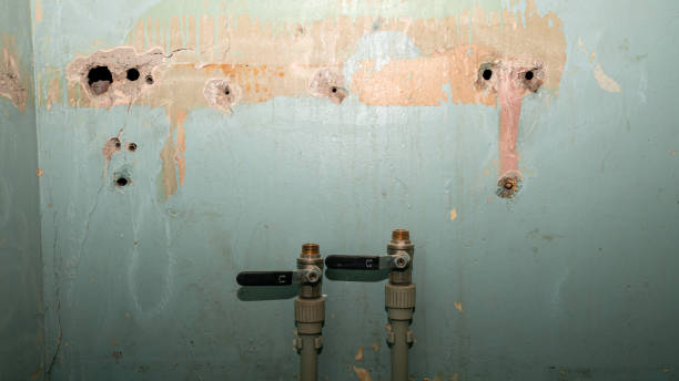Best Local water damage restoration  in Sunset, UT