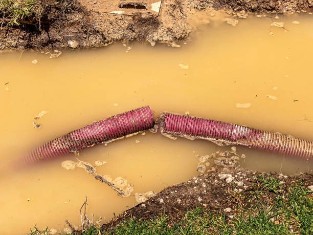 Best 24-hour water damage restoration  in Sunset, UT