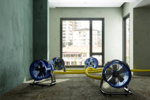 Best Professional water damage repair  in Sunset, UT